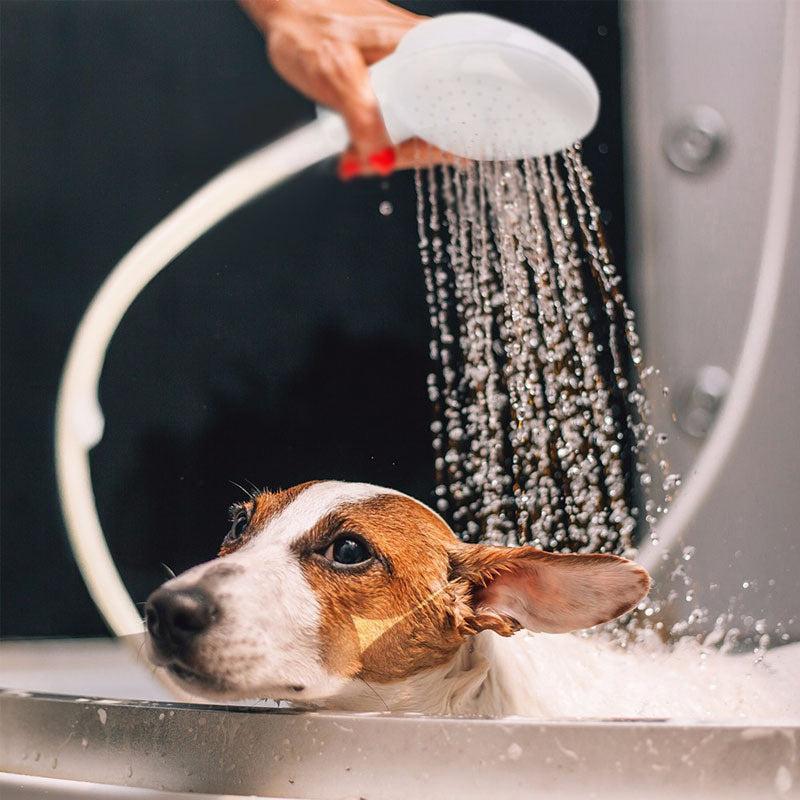 Multifunctional Shower Sprinkler Drain Filter Hose Sink Wash Head