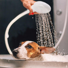 Multifunctional Shower Sprinkler Drain Filter Hose Sink Wash Head