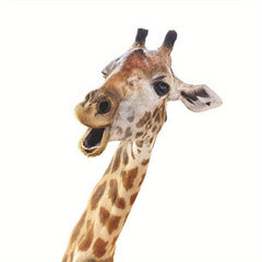 Giraffe Wall Sticker Art Decor For Children's Room