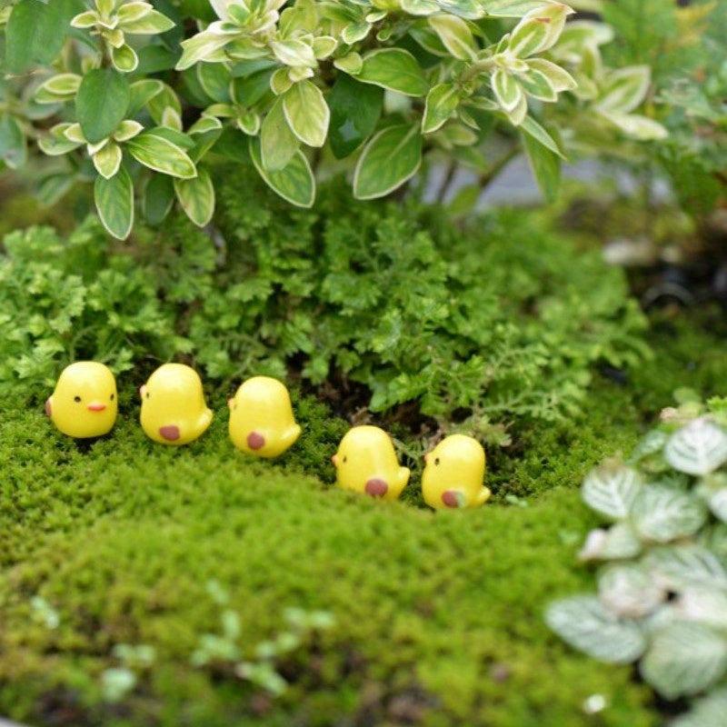5pcs Micro Chickens Landscape Ornaments for DIY Fairy Garden