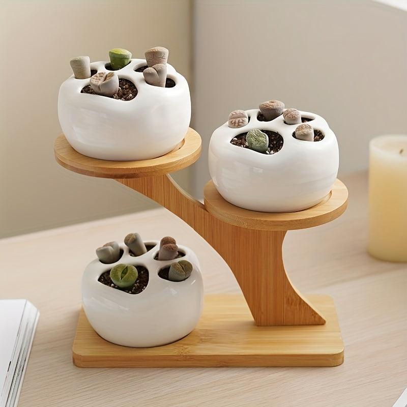 Wooden Tiered Plant Stand for Succulents and Small Plants