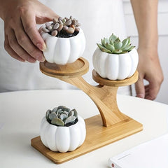 Wooden Tiered Plant Stand for Succulents and Small Plants