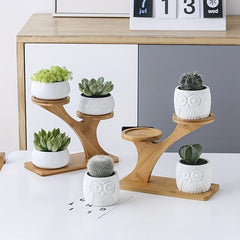 Wooden Tiered Plant Stand for Succulents and Small Plants