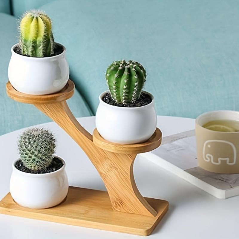 Wooden Tiered Plant Stand for Succulents and Small Plants
