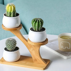 Wooden Tiered Plant Stand for Succulents and Small Plants