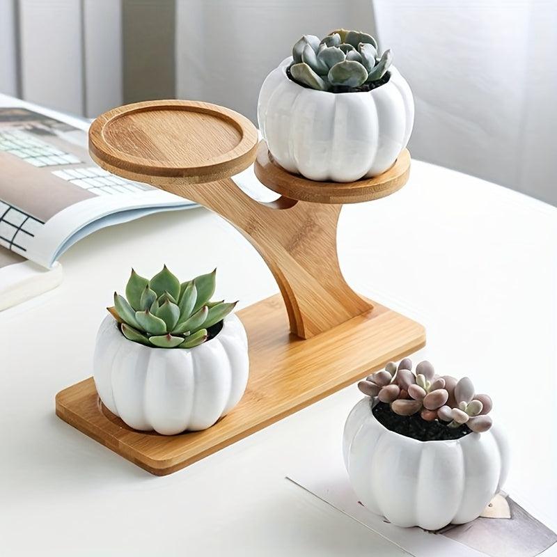 Wooden Tiered Plant Stand for Succulents and Small Plants