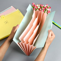 A4 Extension Folder 1 Pocket Accordion File
