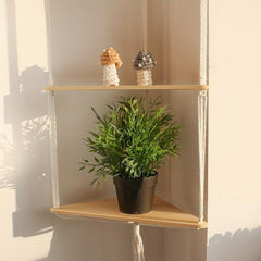 Bohemia 3-Layer Floating Shelf for Tissue Succulent Plants Ornaments