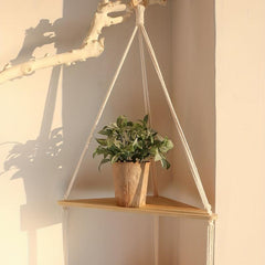 Bohemia 3-Layer Floating Shelf for Tissue Succulent Plants Ornaments