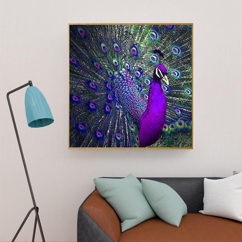 Peacock Diamond Painting Kit Full Drill Embroidery 30x30cm Stunning Wall Decor