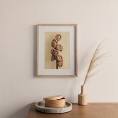 Modern Art Dried Fruits Seed Strangeness Scandinavian Canvas Poster