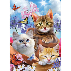 Frameless Cat Decor Rhinestone Painting Kit Diamond Painting
