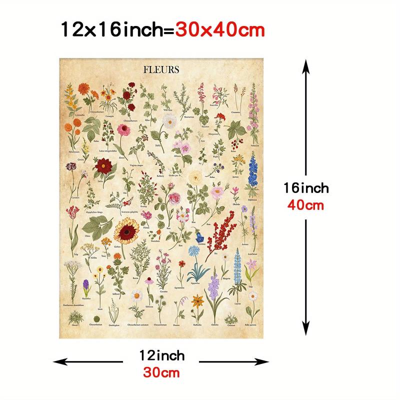 Vintage Flower Botanical Collection Poster Print 30x40
