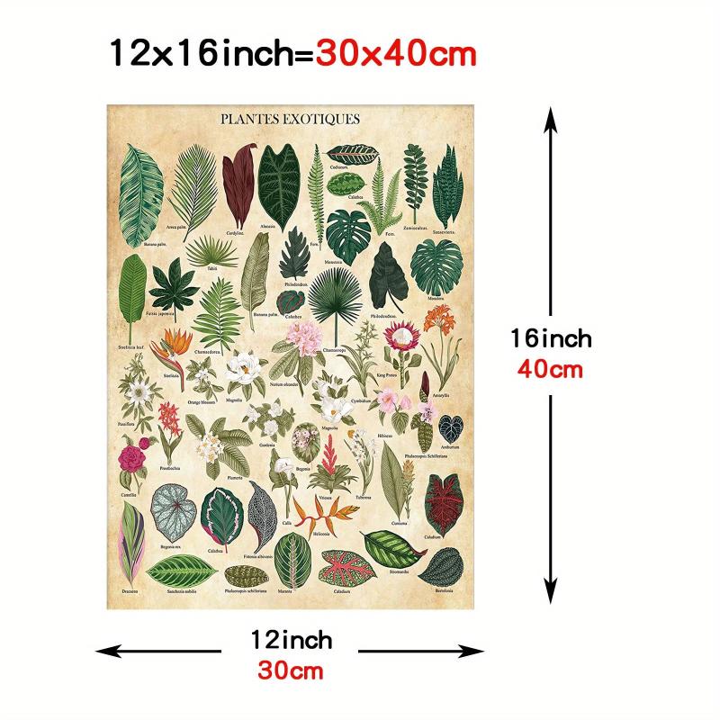 Vintage Flower Botanical Collection Poster Print 30x40