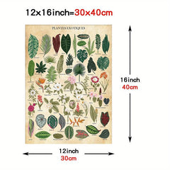 Vintage Flower Botanical Collection Poster Print 30x40