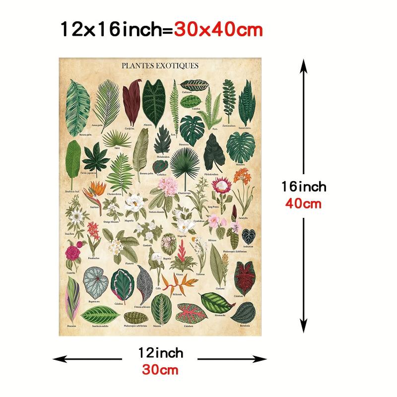 Vintage Flower Botanical Collection Poster Print 30x40