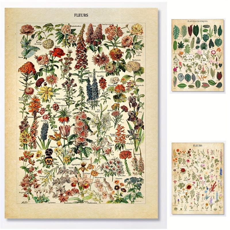 Vintage Flower Botanical Collection Poster Print 30x40