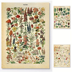 Vintage Flower Botanical Collection Poster Print 30x40
