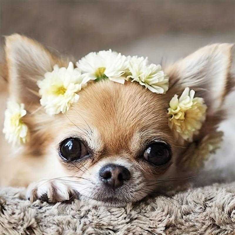 Chihuahua Diamond Painting Kit for Adults - DIY 5D Art with Round Diamonds