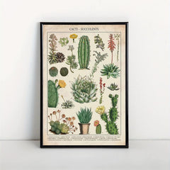 Watercolor Cactus Botanical Chart Poster Canvas Print