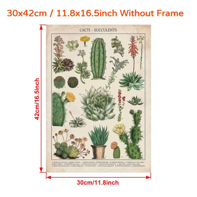 Watercolor Cactus Botanical Chart Poster Canvas Print