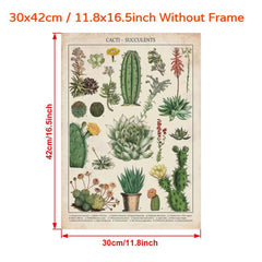 Watercolor Cactus Botanical Chart Poster Canvas Print