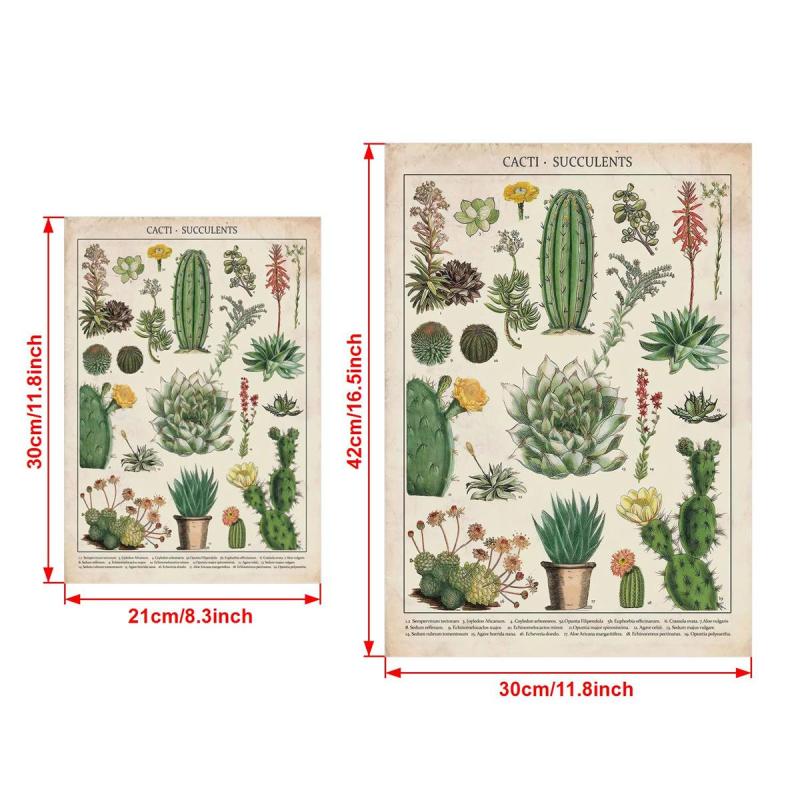 Watercolor Cactus Botanical Chart Poster Canvas Print