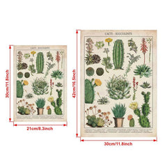 Watercolor Cactus Botanical Chart Poster Canvas Print
