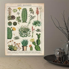 Watercolor Cactus Botanical Chart Poster Canvas Print