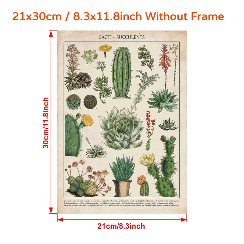 Watercolor Cactus Botanical Chart Poster Canvas Print