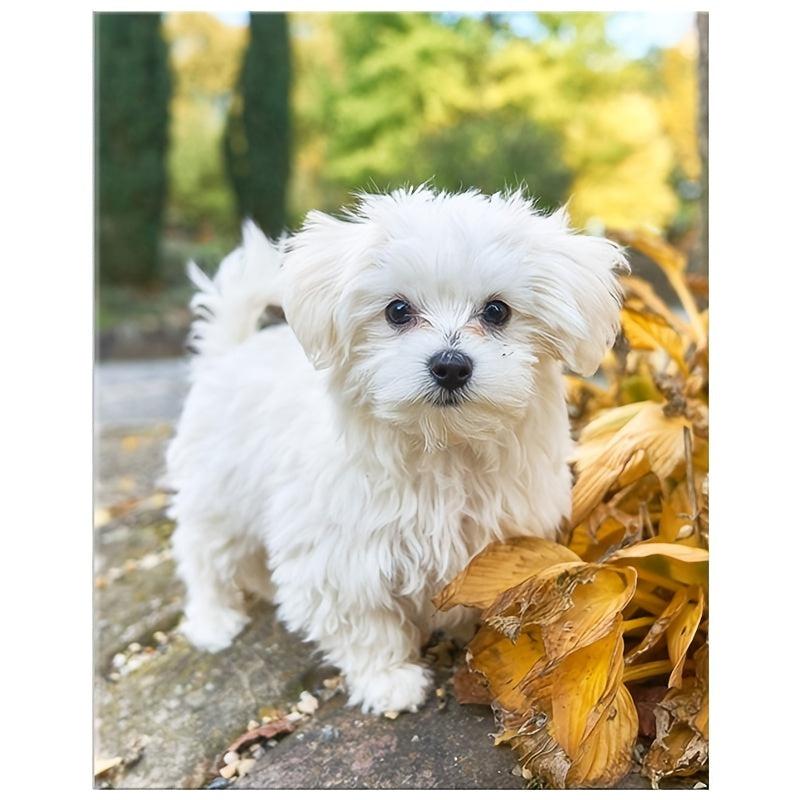 5D DIY Diamond Painting Lovely Dog Embroidery Kit