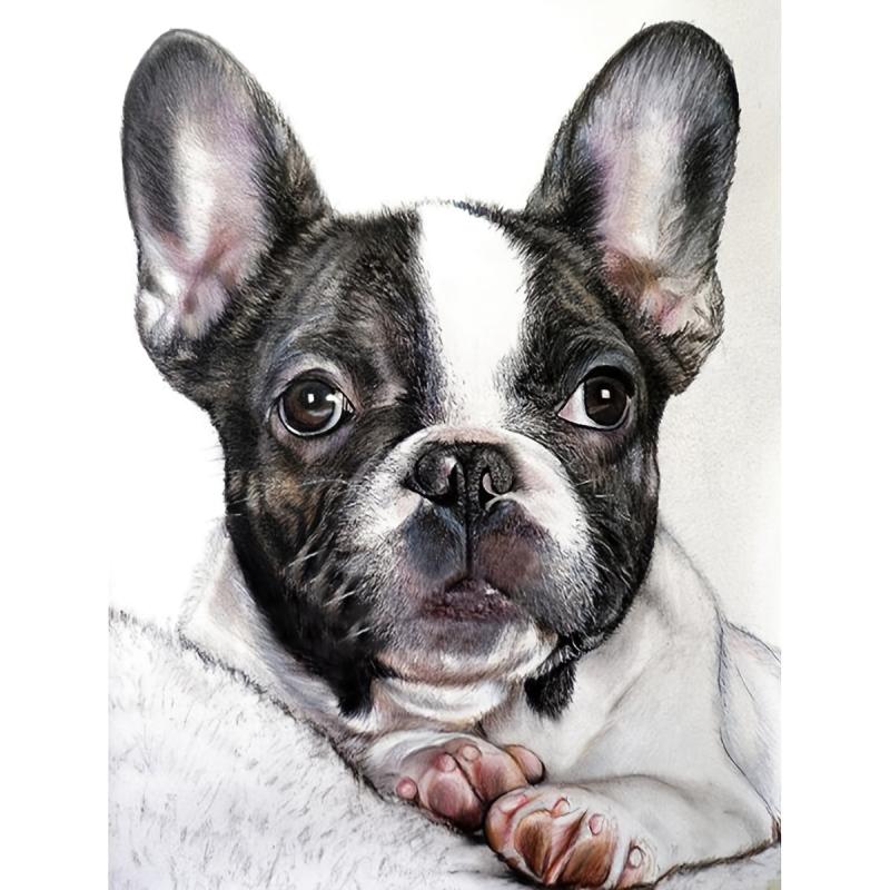 Dog Diamond Painting & Pet French Bulldog DIY Kit