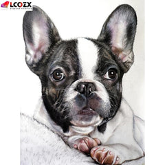 Dog Diamond Painting & Pet French Bulldog DIY Kit