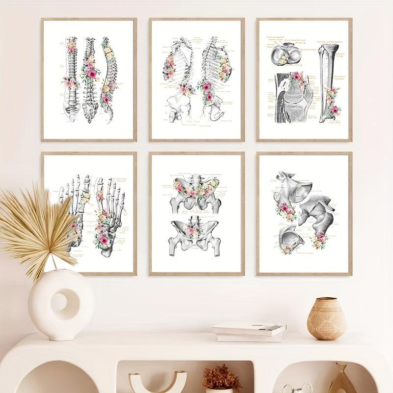 6pcs Floral Skeleton Anatomy Art HD Canvas Print Wall Picture Decor