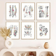 6pcs Floral Skeleton Anatomy Art HD Canvas Print Wall Picture Decor