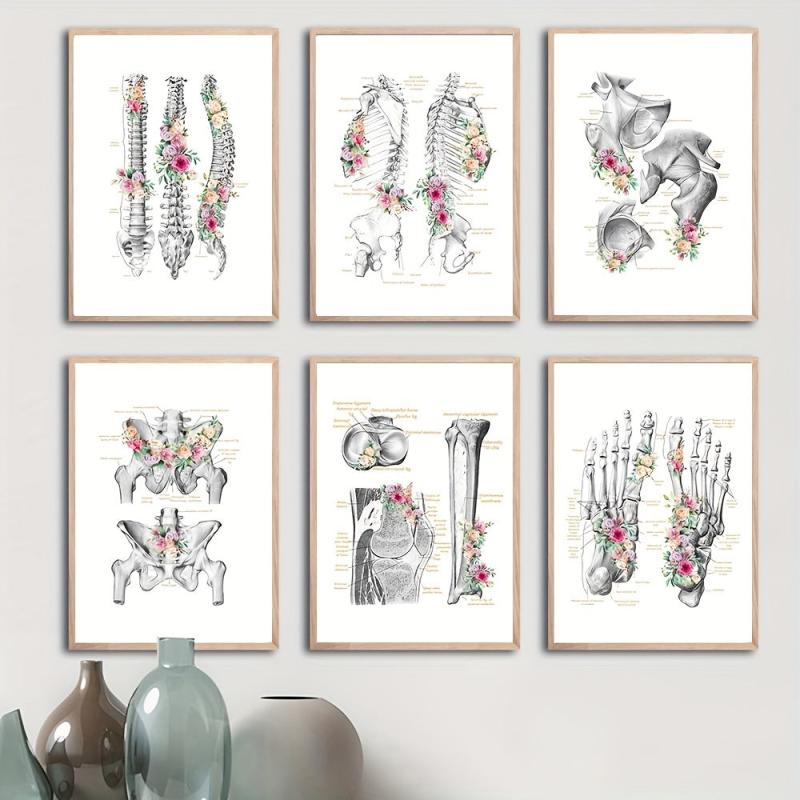 6pcs Floral Skeleton Anatomy Art HD Canvas Print Wall Picture Decor