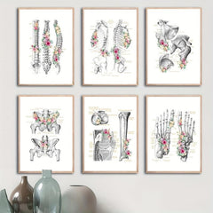 6pcs Floral Skeleton Anatomy Art HD Canvas Print Wall Picture Decor
