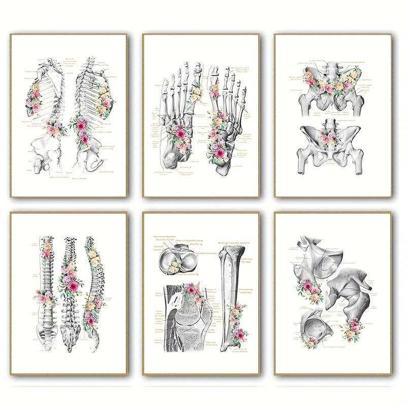 6pcs Floral Skeleton Anatomy Art HD Canvas Print Wall Picture Decor