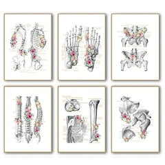 6pcs Floral Skeleton Anatomy Art HD Canvas Print Wall Picture Decor