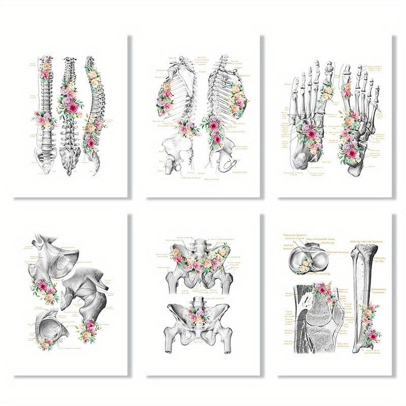 6pcs Floral Skeleton Anatomy Art HD Canvas Print Wall Picture Decor