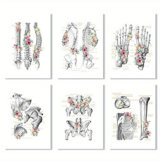 6pcs Floral Skeleton Anatomy Art HD Canvas Print Wall Picture Decor
