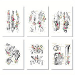 6pcs Floral Skeleton Anatomy Art HD Canvas Print Wall Picture Decor