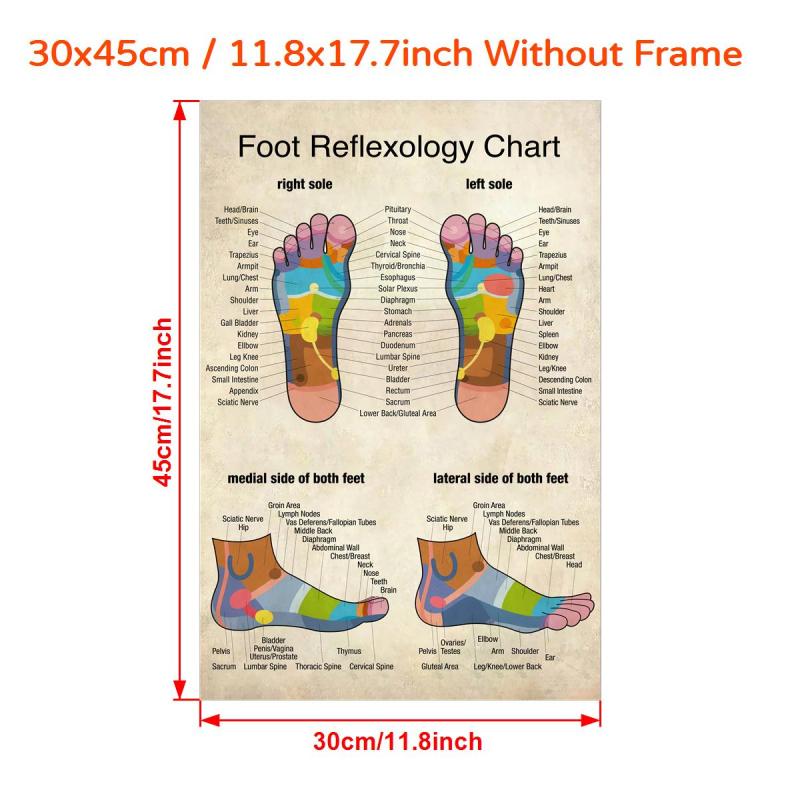 Reflexology Foot Massage Chart Canvas Print Poster