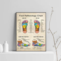 Reflexology Foot Massage Chart Canvas Print Poster