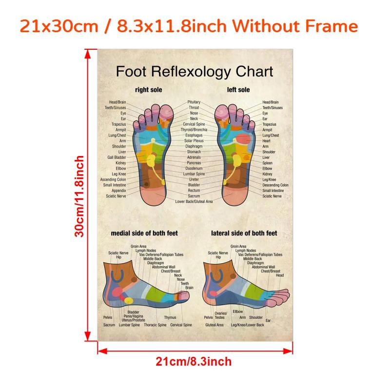 Reflexology Foot Massage Chart Canvas Print Poster