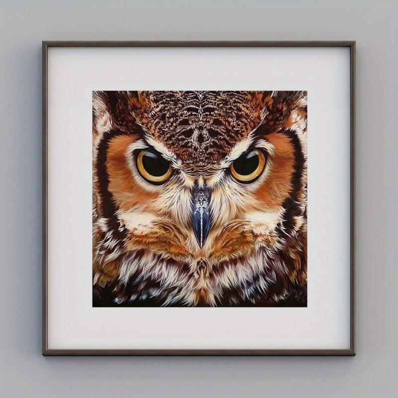 5D Diamond Painting Music Note Football Owl DIY No Frame