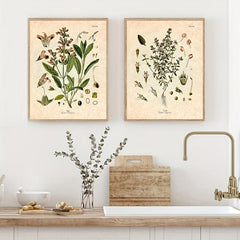 Botanical Kitchen Herb Wall Art Set - 4 10x8in Prints Thyme Mint Ro