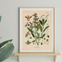 Botanical Kitchen Herb Wall Art Set - 4 10x8in Prints Thyme Mint Ro