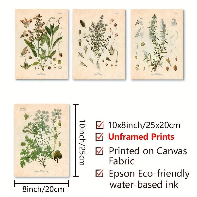 Botanical Kitchen Herb Wall Art Set - 4 10x8in Prints Thyme Mint Ro