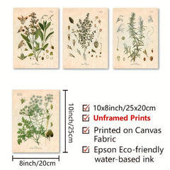 Botanical Kitchen Herb Wall Art Set - 4 10x8in Prints Thyme Mint Ro